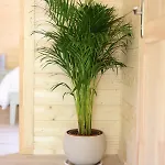 Chalet Scandinavian Lodges For Adults Www Killarneycabins Ie *