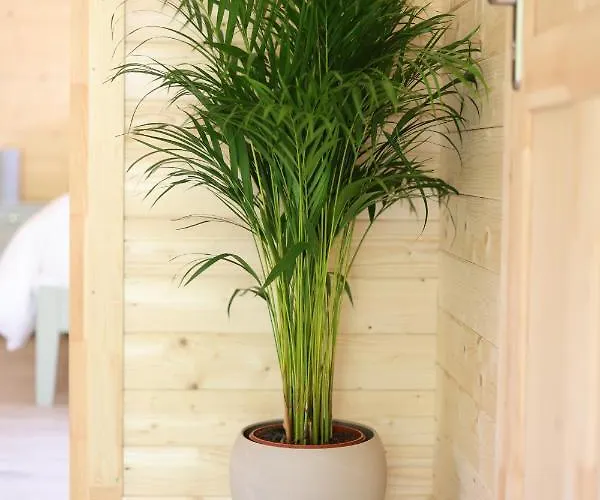 샬레 Killarneycabins Ie Adult *